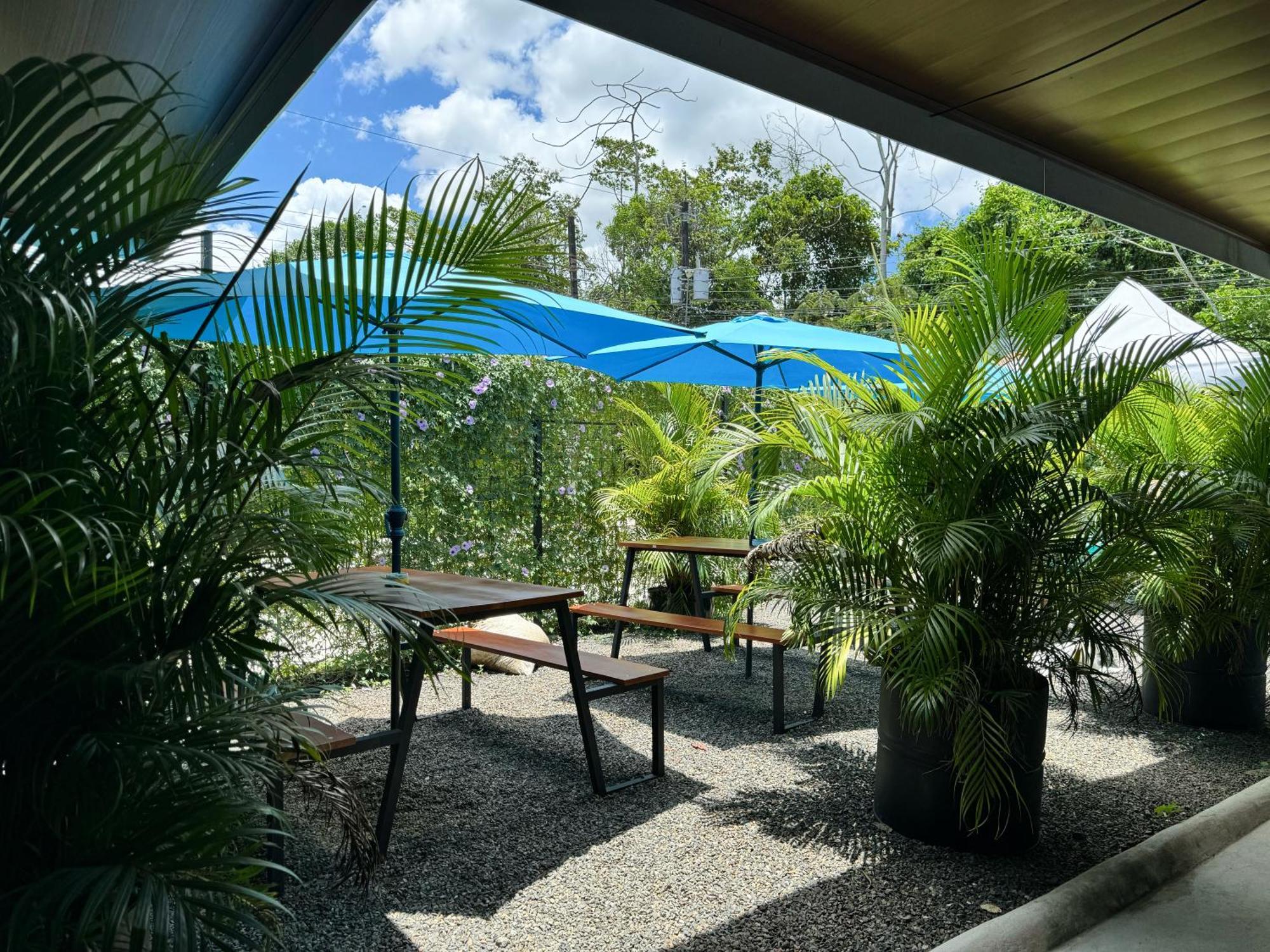 Pura Vibra Hostal