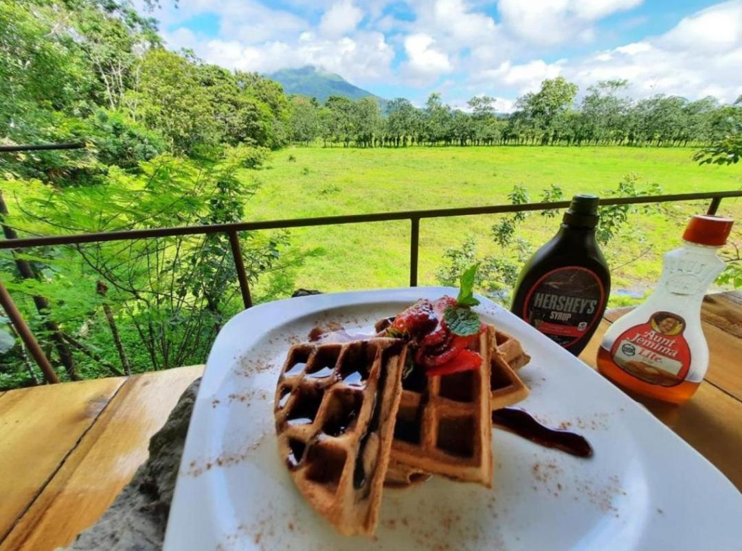 Auberge de jeunesse Pura Vibra *